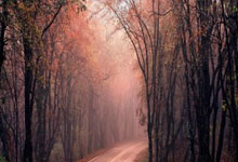 [足球之夜]印尼拿下关键三分 国足将迎生死战.