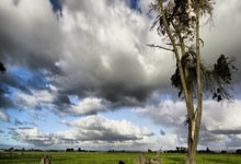 雷竞技官网：再见！曝皇马不与“24冠”先生续约，今夏引进尤文勒沃库森2强援.